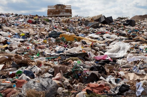 Professional waste clearance team