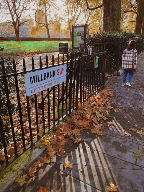 A rectangular white street sign with bold black and red text indicating 'BUCKINGHAM PALACE ROAD SW1' is mounted on two metal posts, positioned on a sidewalk near a glass window reflecting passing vehi